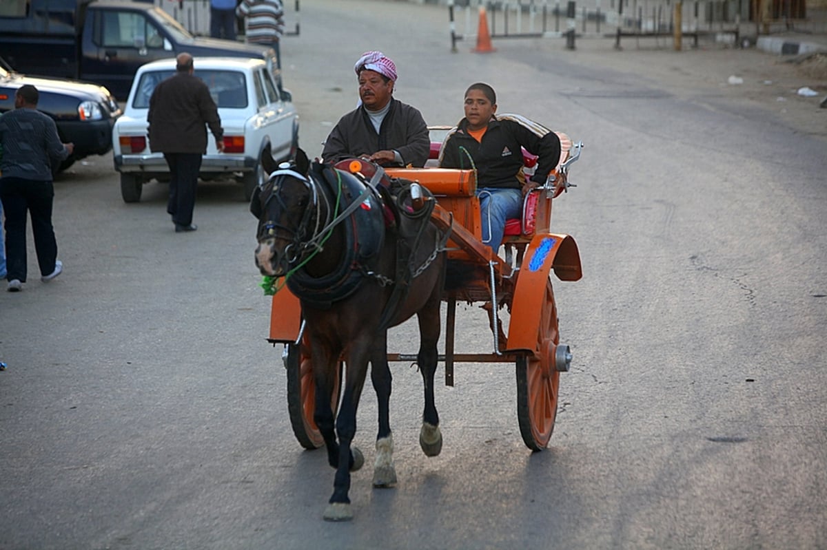 אלפי שנים לאחר השיעבוד: צלם "כיכר" מתעד במצרים