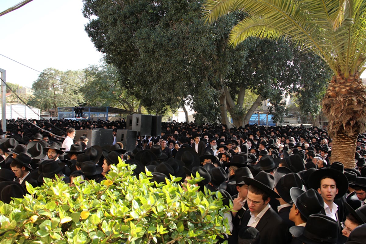 דרכו האחרונה: אלפים מלווים את הגר"י מאיר