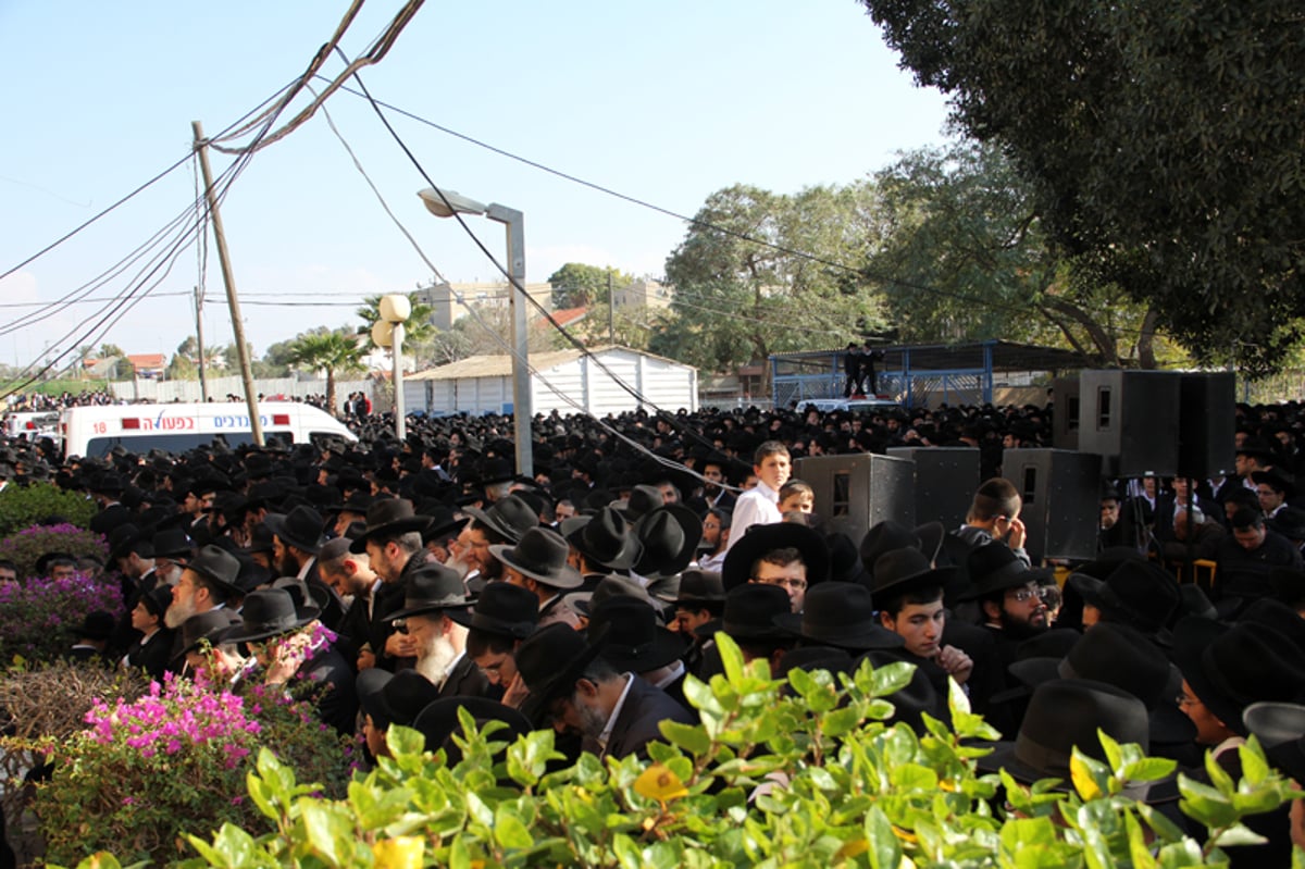 דרכו האחרונה: אלפים מלווים את הגר"י מאיר