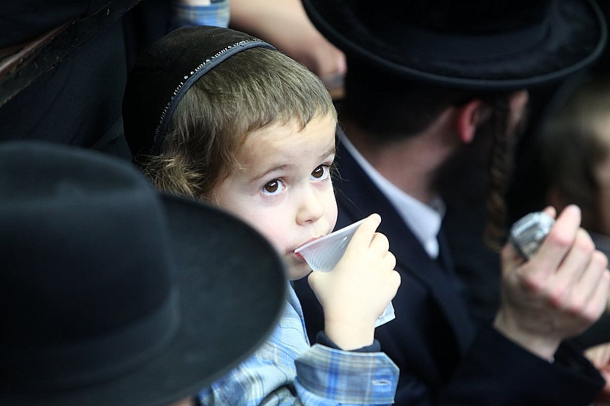 צפו בתיעוד: ט"ו בשבט בחצרות החסידים בבני ברק