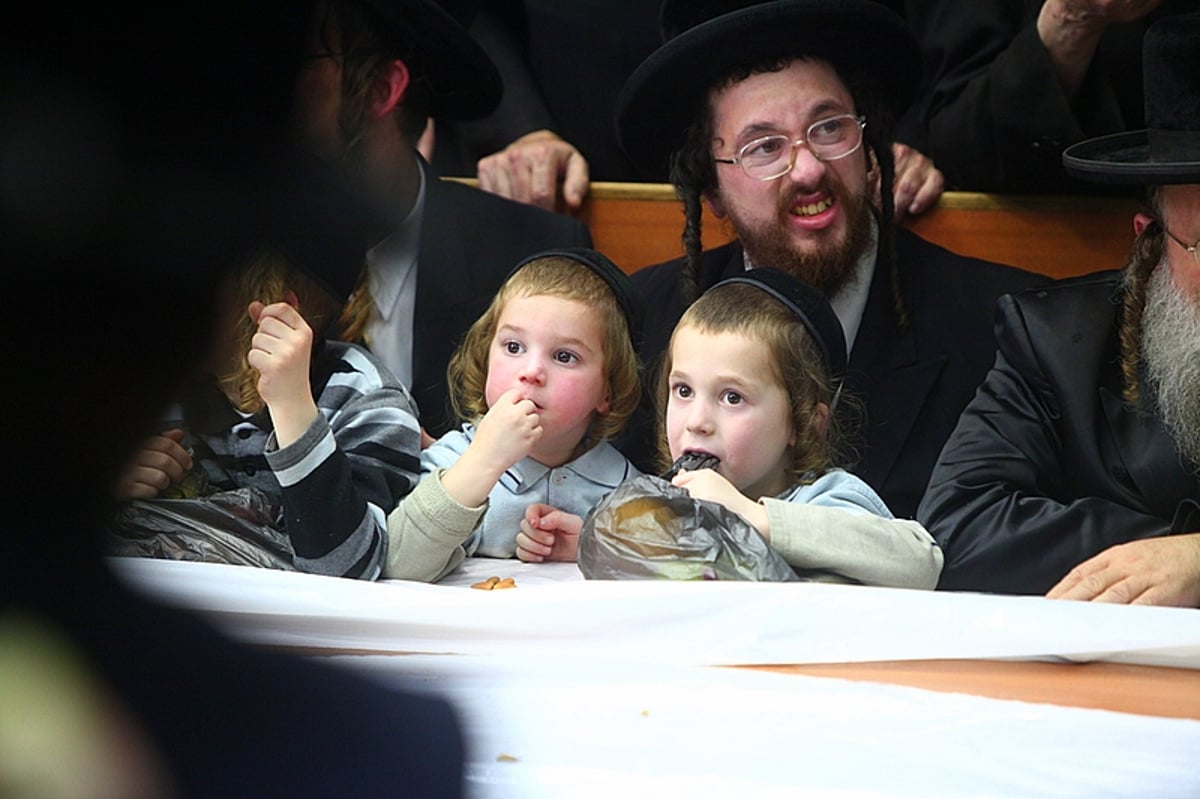 צפו בתיעוד: ט"ו בשבט בחצרות החסידים בבני ברק