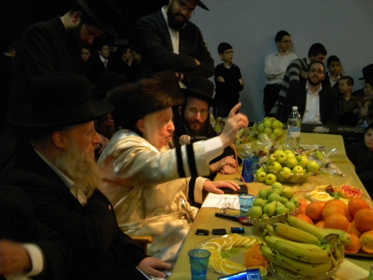 פירותיך מתוקים: האדמו"ר מקאליב בט"ו בשבט