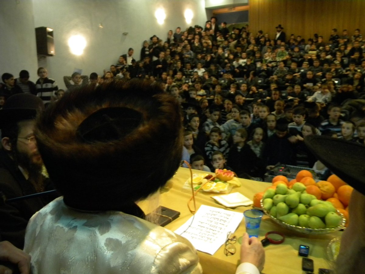 פירותיך מתוקים: האדמו"ר מקאליב בט"ו בשבט