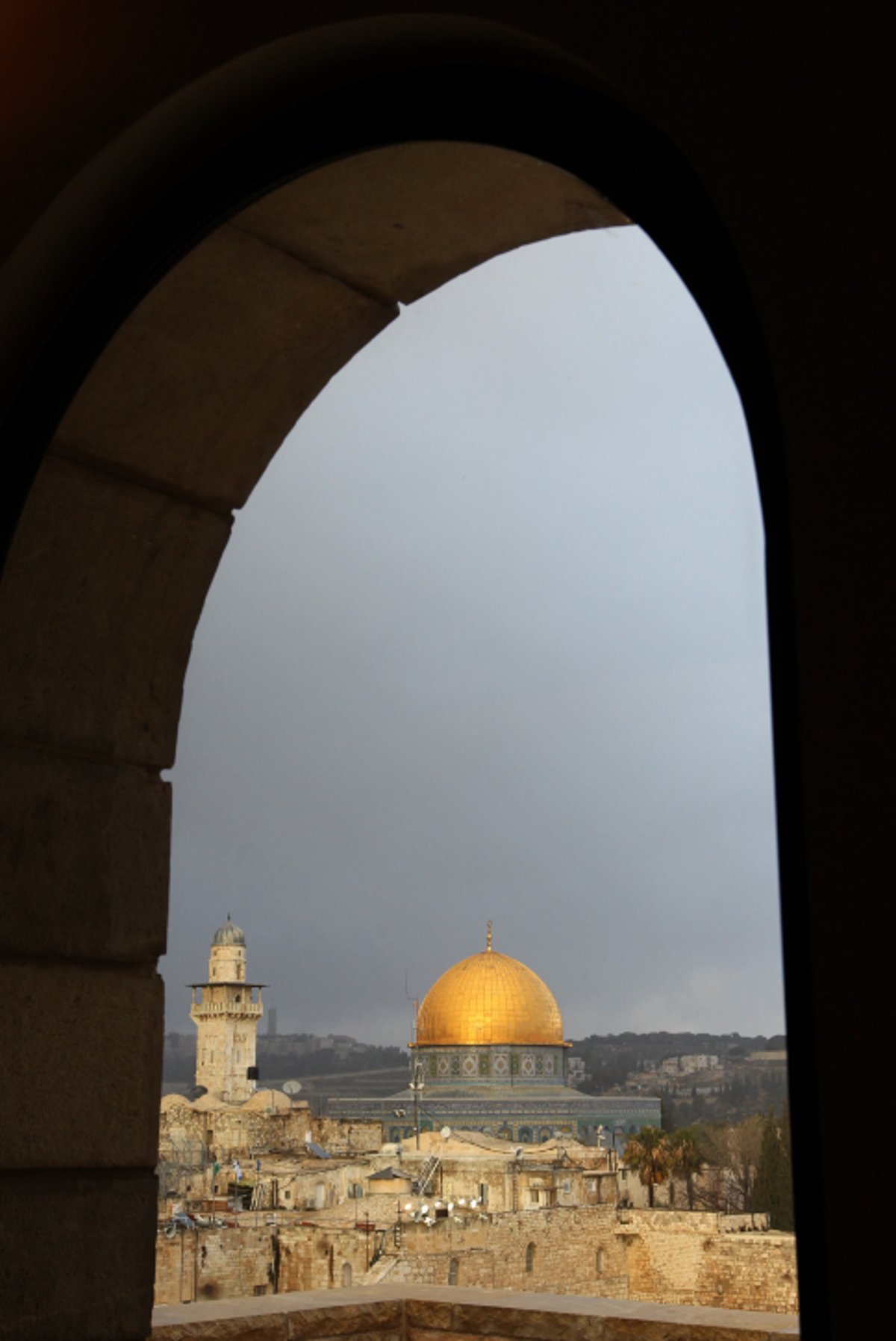 כיכר היום: עין לציון צופיה