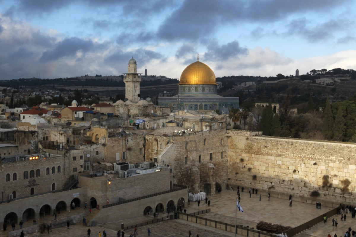 כיכר היום: עין לציון צופיה