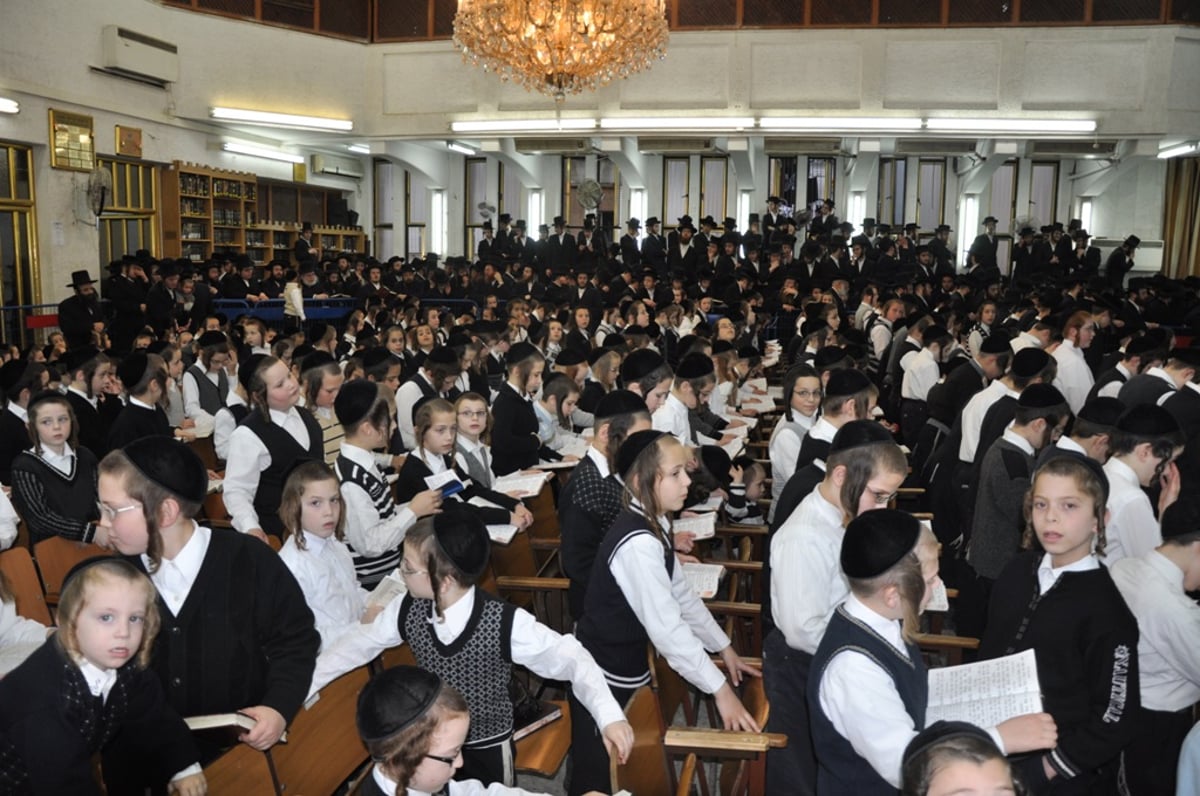 האדמו"ר מסאטמר בבני- ברק: המונים קיבלו את פניו