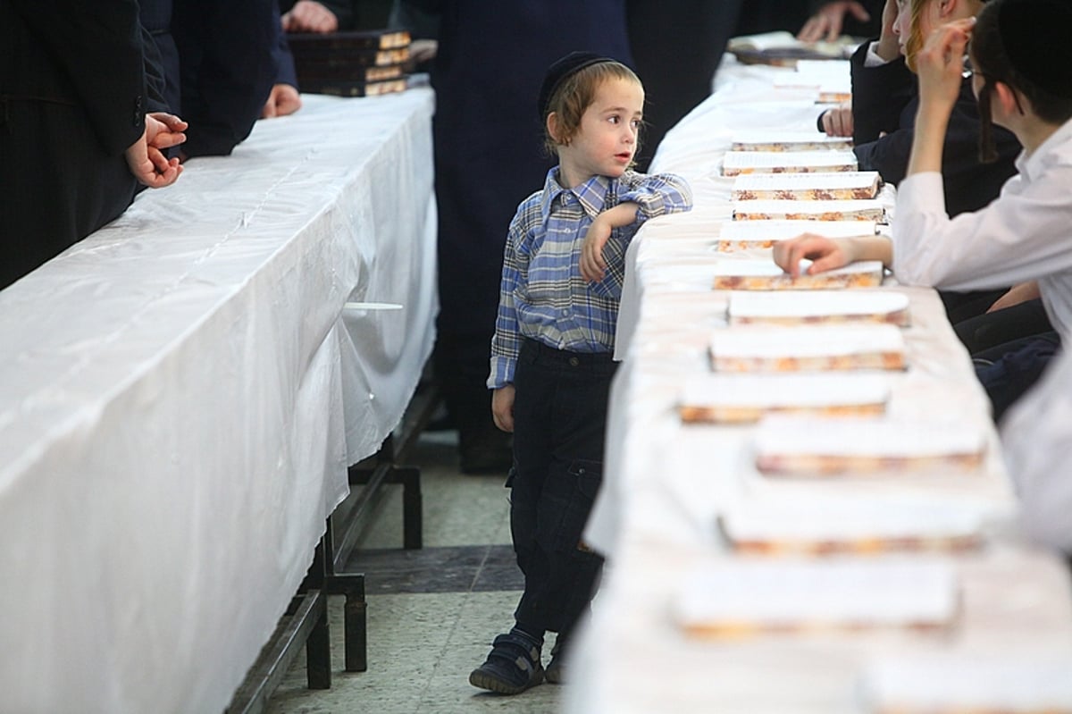 האדמו"ר מסאטמר בארץ: גלריה אומנותית ● מיוחד