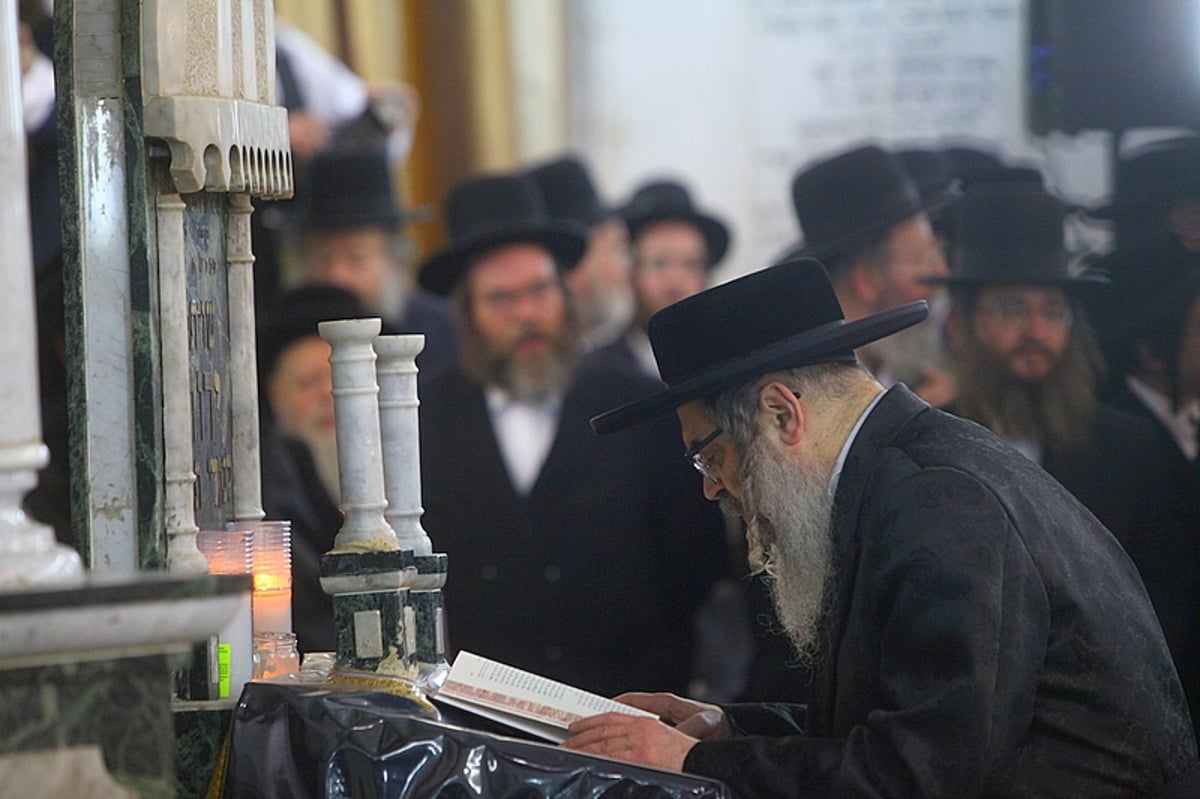 האדמו"ר מסאטמר בארץ: גלריה אומנותית ● מיוחד