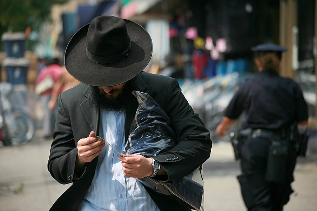 תיירות: מאיר אלפסי מגלה את אמריקה