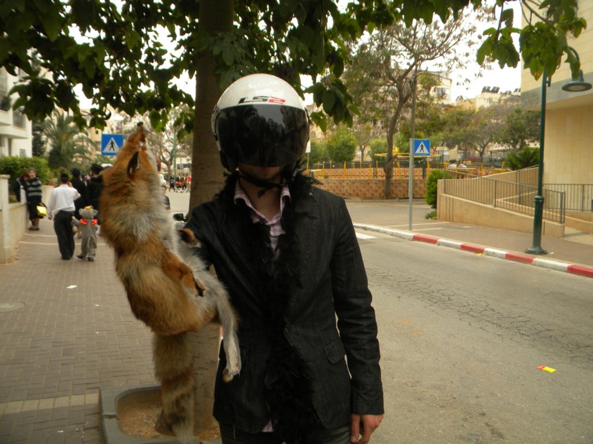 גלריית ענק: עד דלא ידע, גרסת בני-ברק