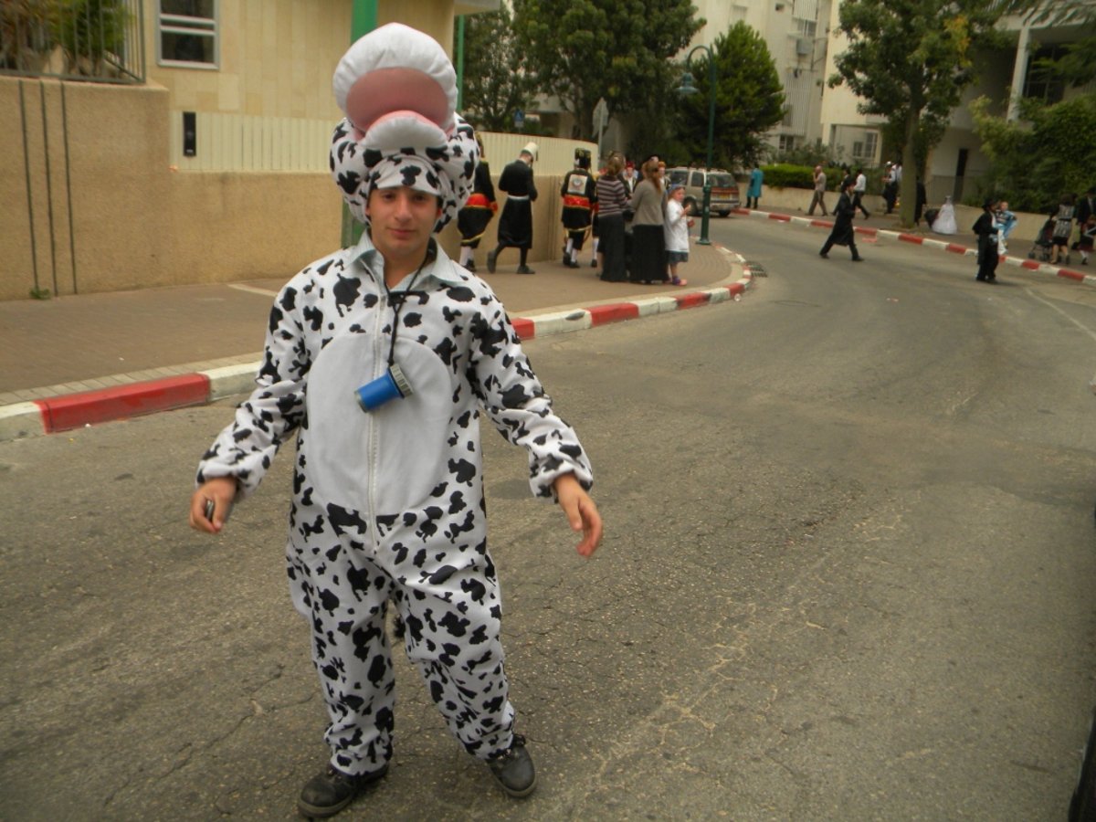 גלריית ענק: עד דלא ידע, גרסת בני-ברק