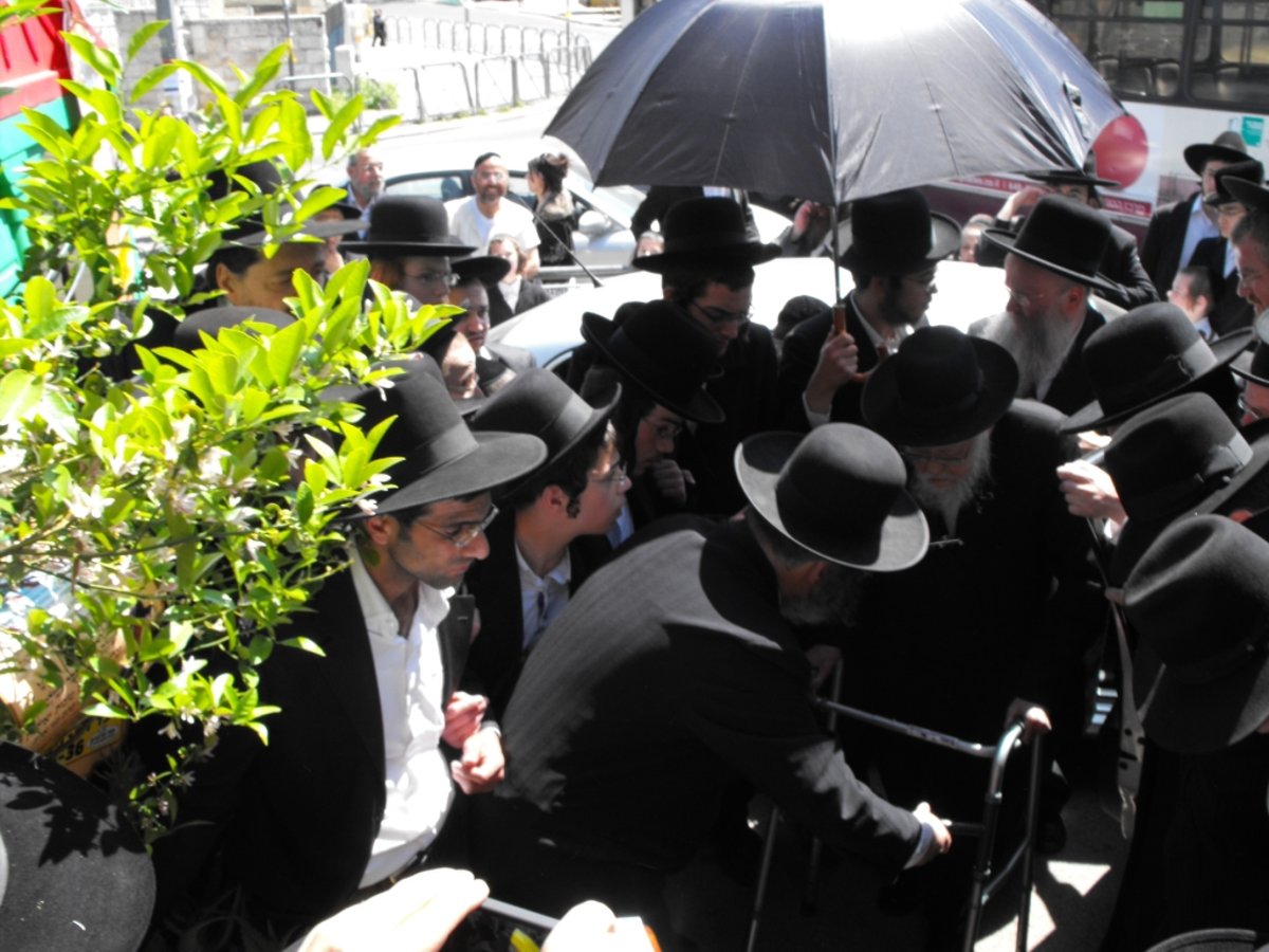 לְהַנּוֹת בָּהֶם בְּנֵי אָדָם: הגרי"ש אלישיב ב"ברכת האילנות"