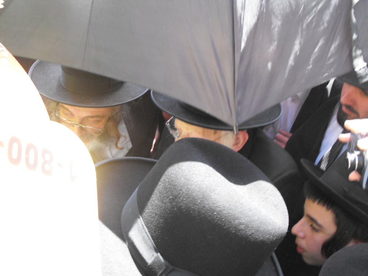 לְהַנּוֹת בָּהֶם בְּנֵי אָדָם: הגרי"ש אלישיב ב"ברכת האילנות"