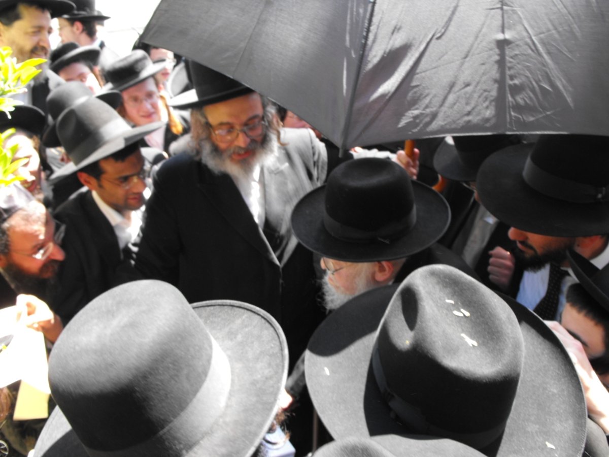 לְהַנּוֹת בָּהֶם בְּנֵי אָדָם: הגרי"ש אלישיב ב"ברכת האילנות"