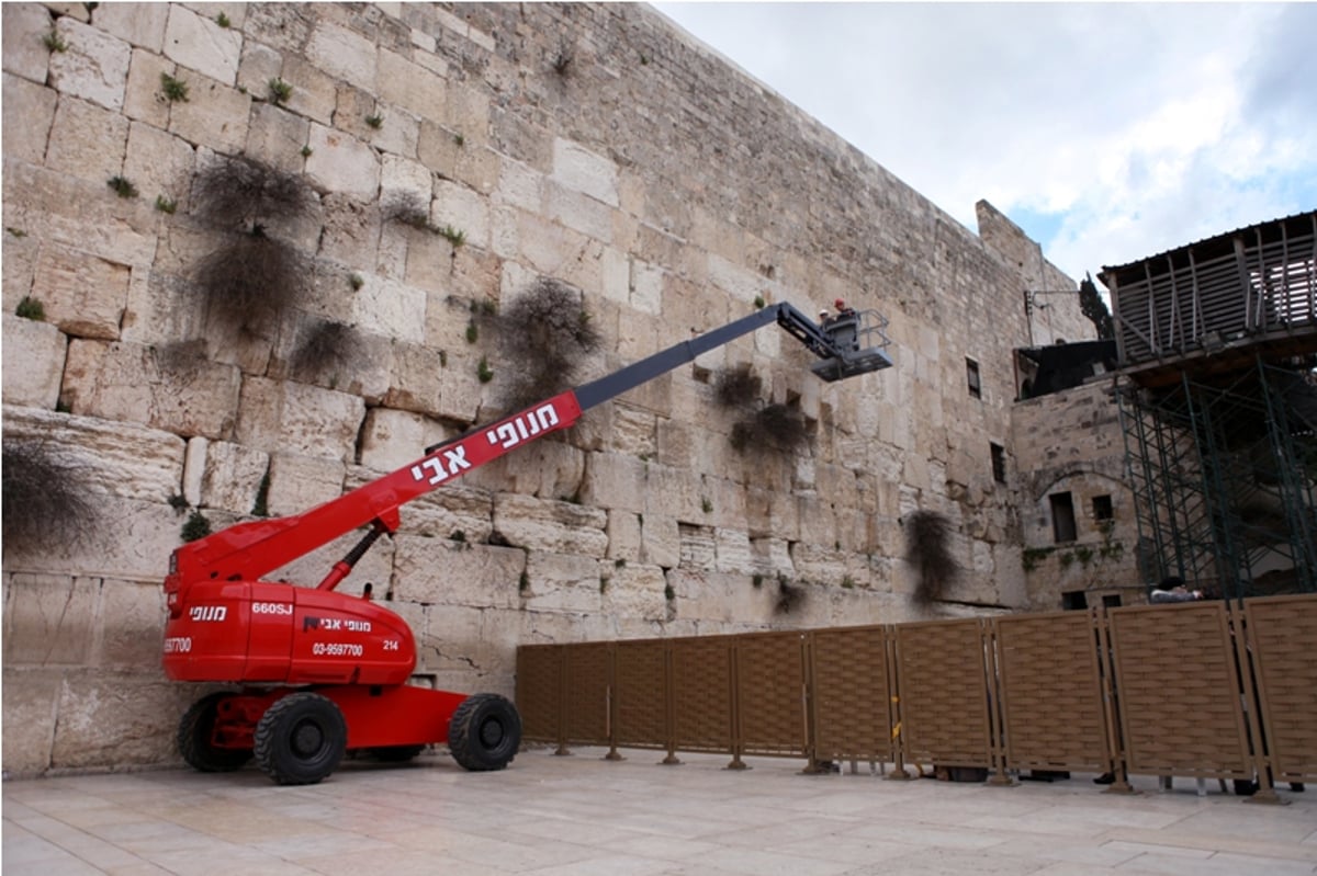 תיעוד: כך מוציאים פתקים מהכותל