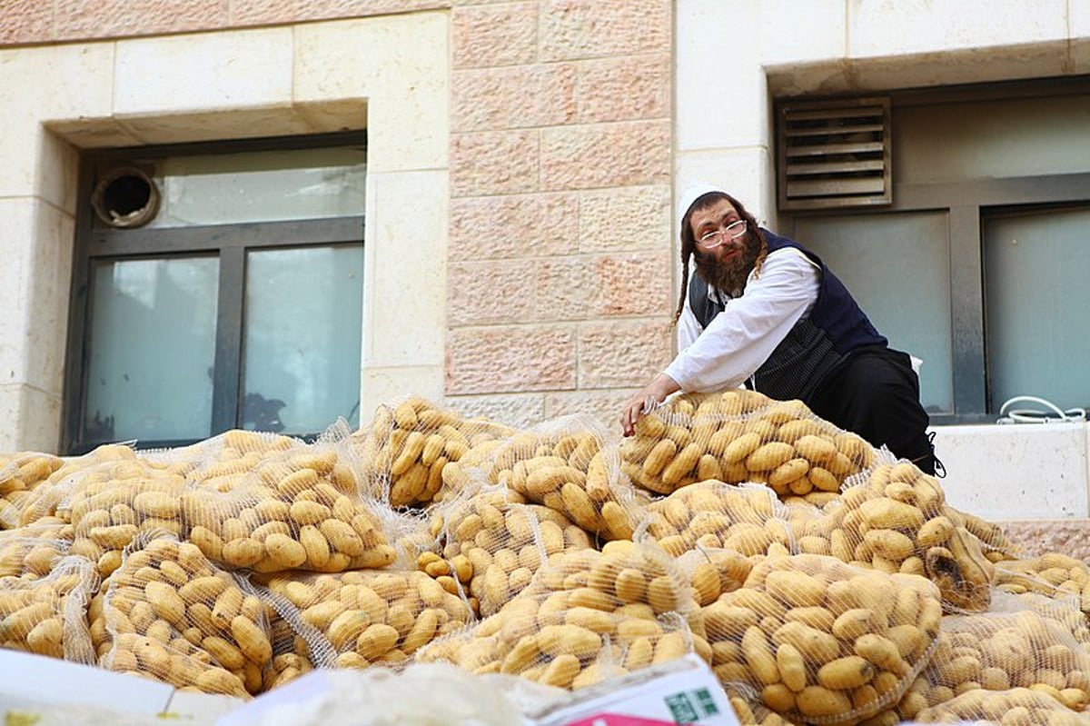 ירושלים כשרה לפסח: ההכנות לחג החרות בבירה, תיעוד ענק