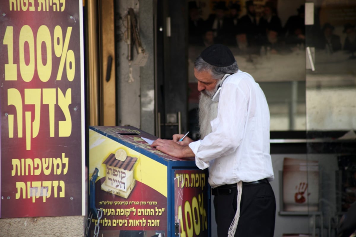 צילום: שמוליק סופר