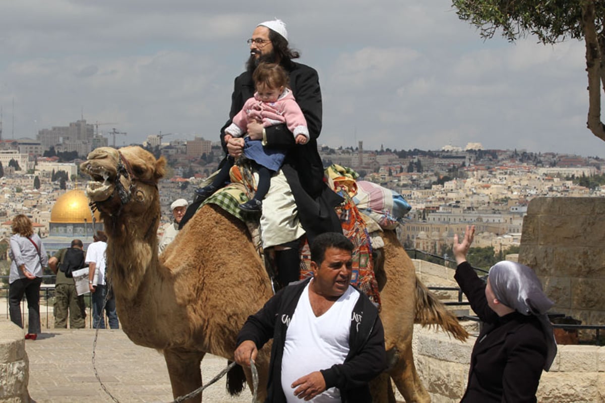 מטיילים, נהנים ומצלמים: עכשיו יש גם במה לפרסום