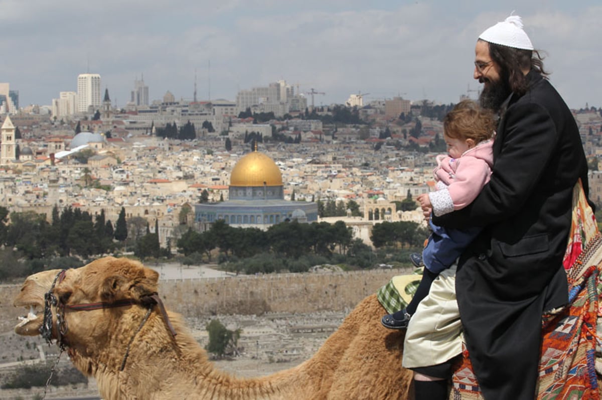 מטיילים, נהנים ומצלמים: עכשיו יש גם במה לפרסום