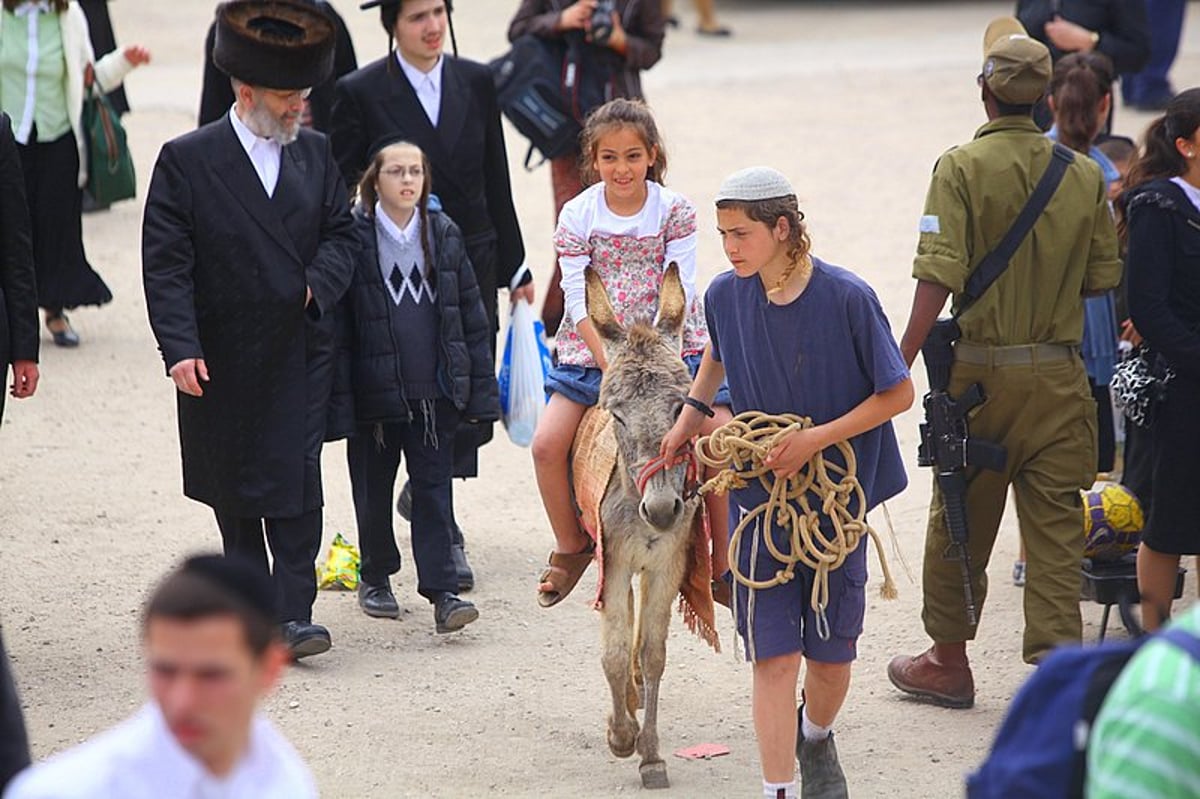 גלויה מרהיבה מחברון: רבבות מתפללים וחוגגים בעיר האבות