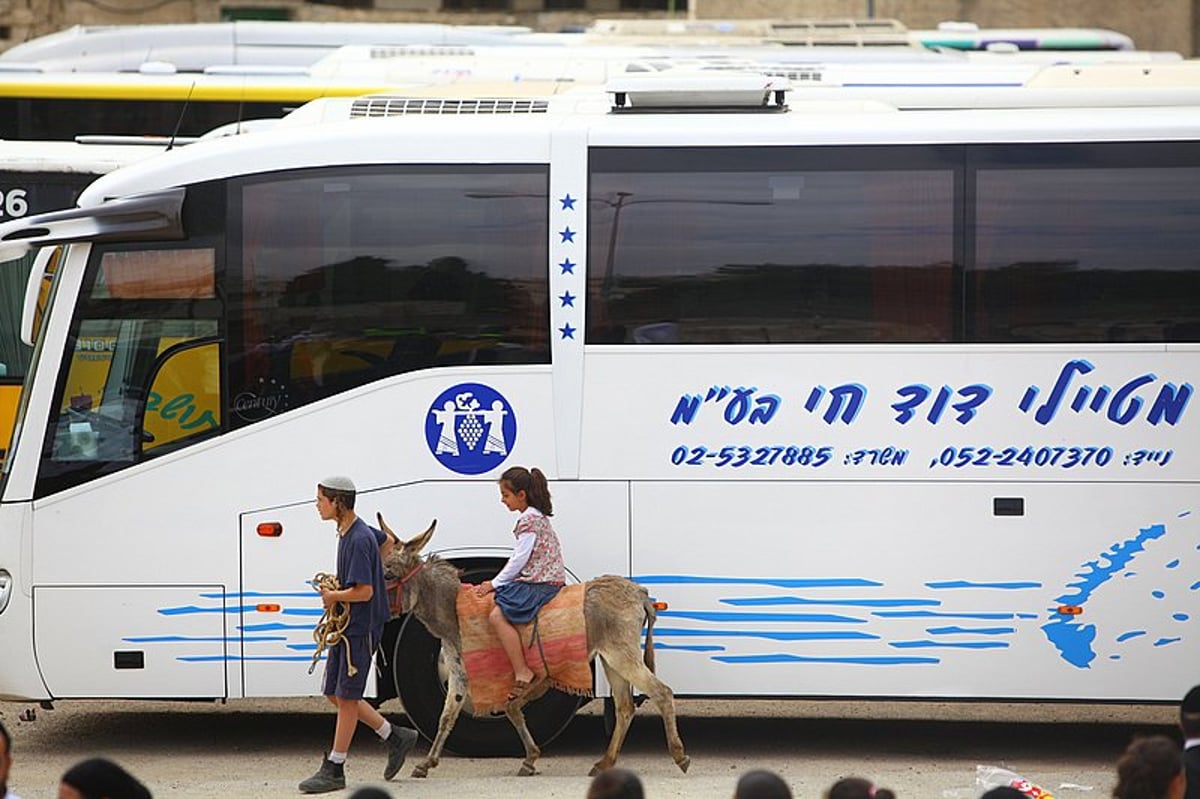 גלויה מרהיבה מחברון: רבבות מתפללים וחוגגים בעיר האבות