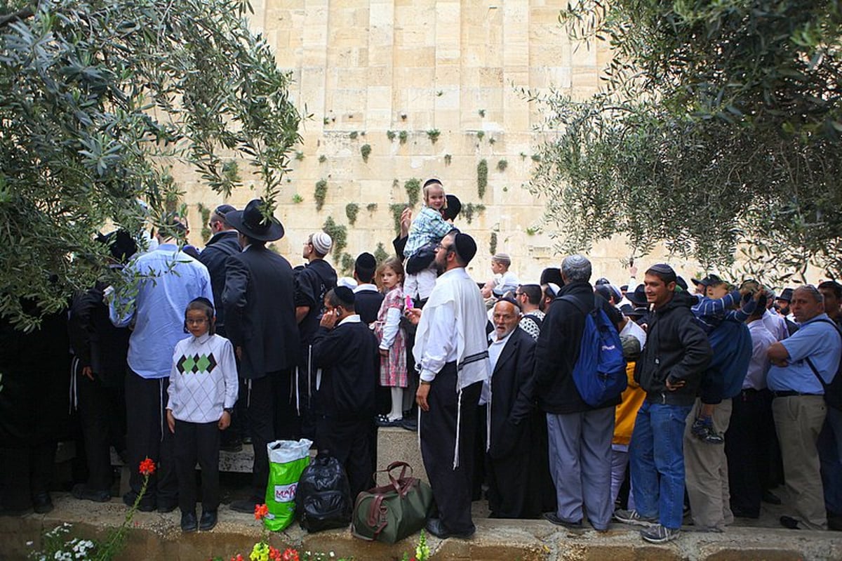 גלויה מרהיבה מחברון: רבבות מתפללים וחוגגים בעיר האבות