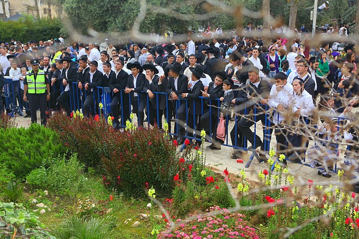 גלויה מרהיבה מחברון: רבבות מתפללים וחוגגים בעיר האבות