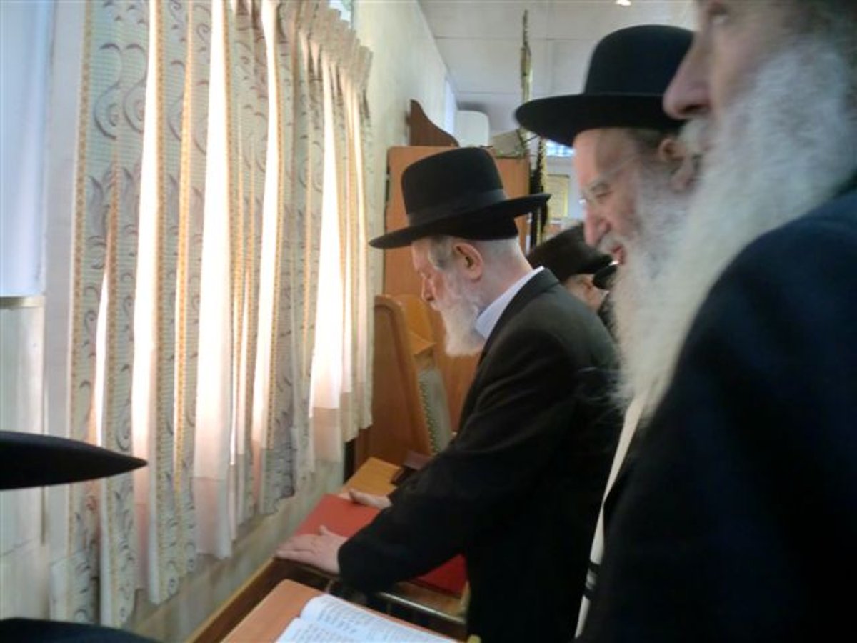 צפו בתמונות: מרן הגרי"ש אלישיב בתפילת חול-המועד