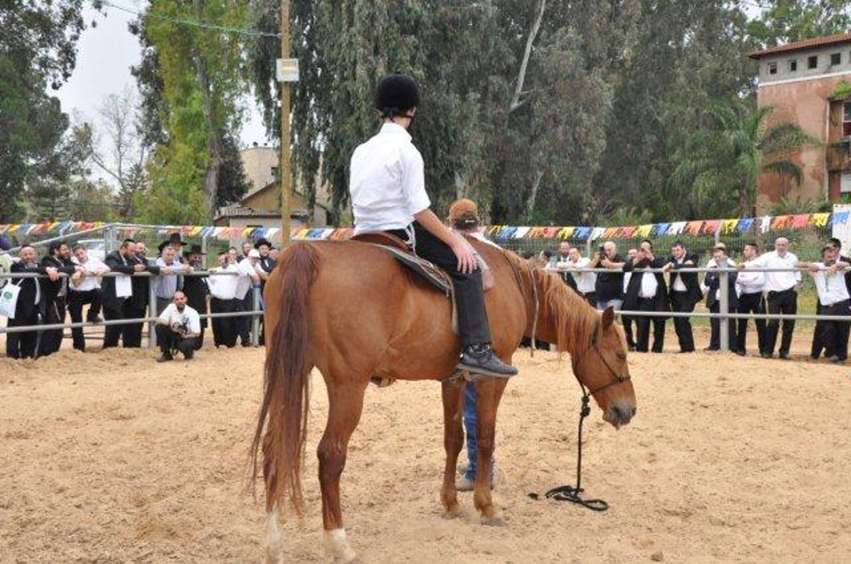 לראשונה: מרכז רכיבה טיפולי - למגזר החרדי