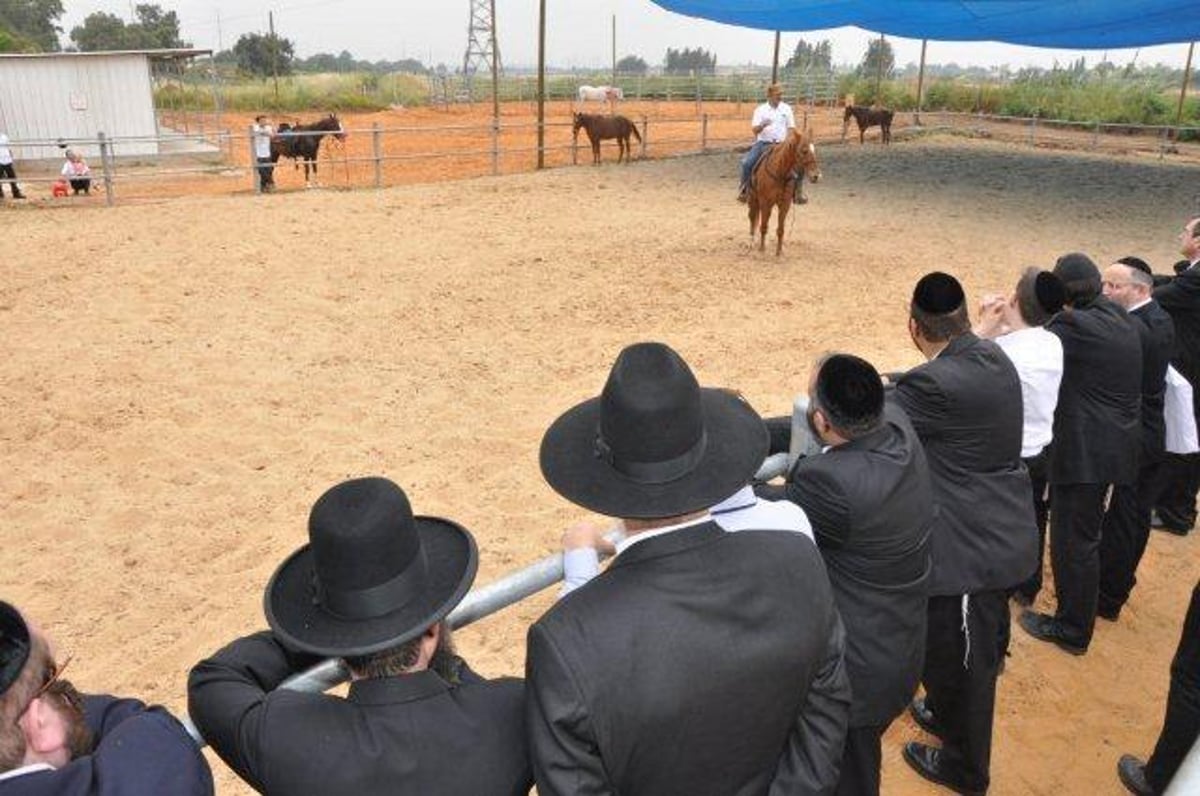 לראשונה: מרכז רכיבה טיפולי - למגזר החרדי