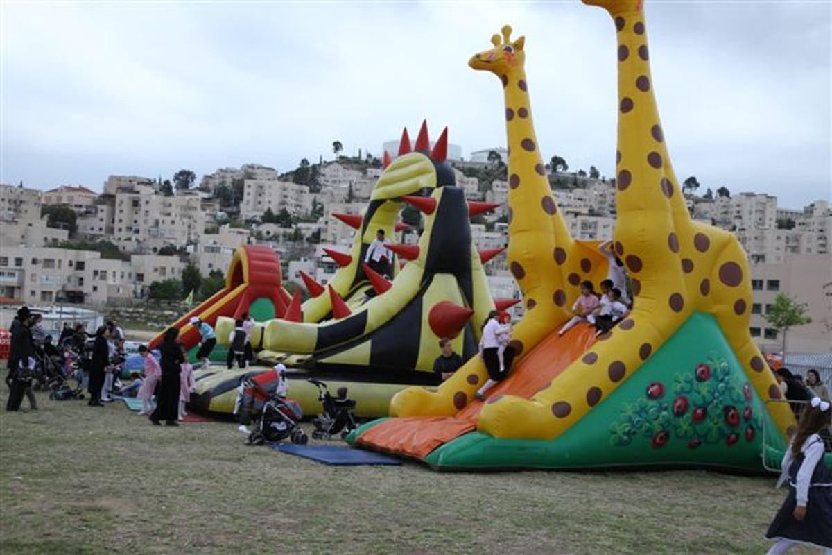 חמודי לא פסח על מודיעין-עלית