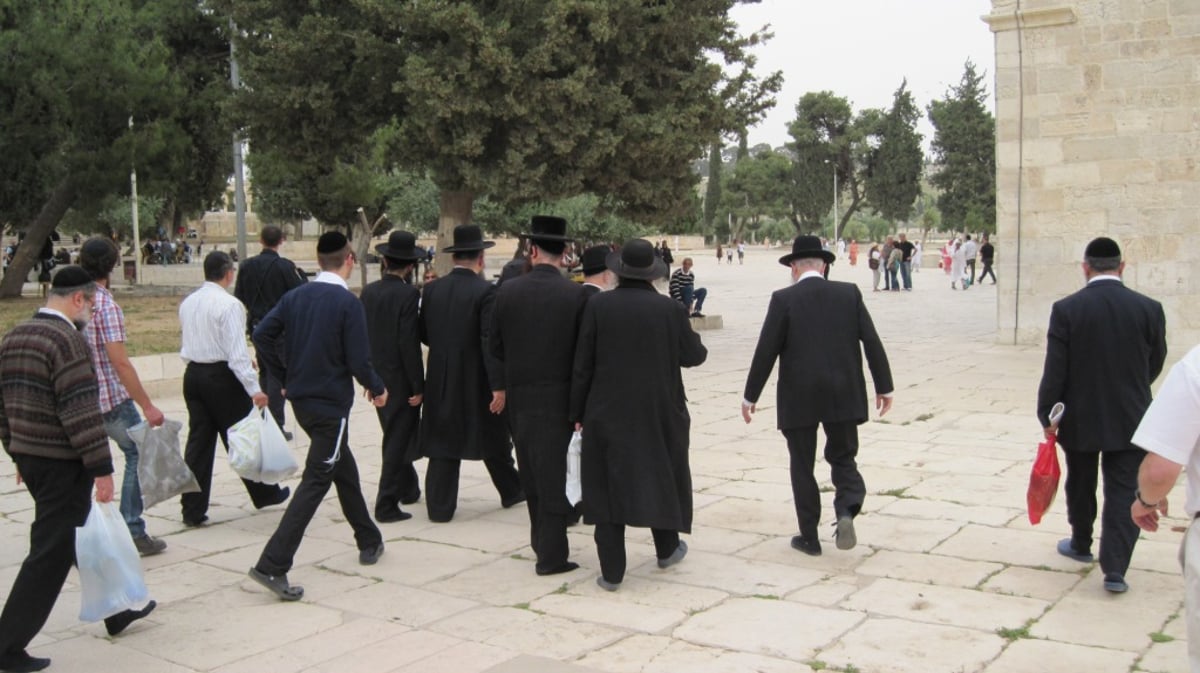 אברך חרדי השתחווה בהר הבית: "הוואקף לא הבחין"