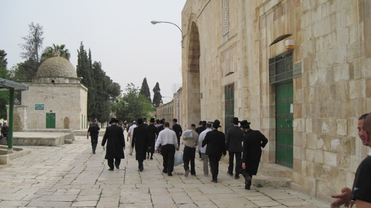 אברך חרדי השתחווה בהר הבית: "הוואקף לא הבחין"