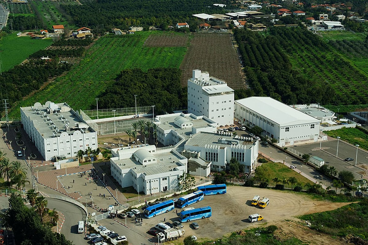 מוסדותיו של רבי דוד אבוחצירה בנהריה