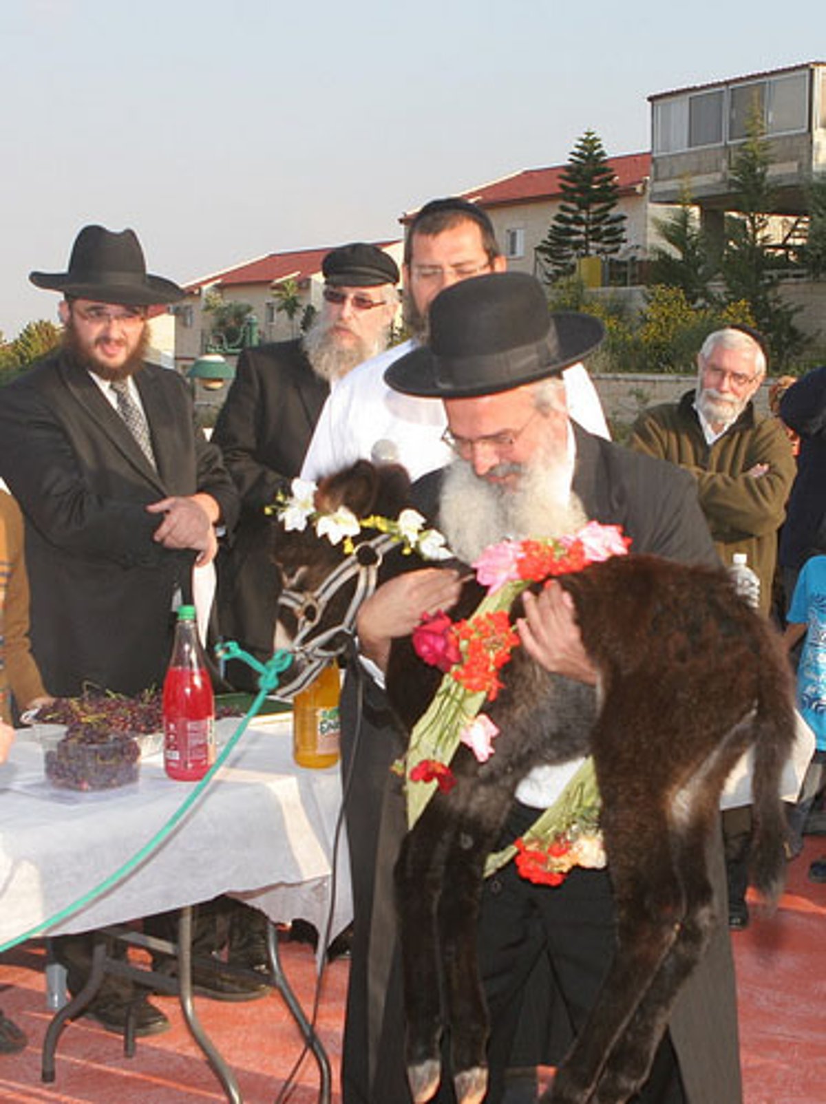 תיעוד: מעמד נדיר של "פידיון פטר חמור"