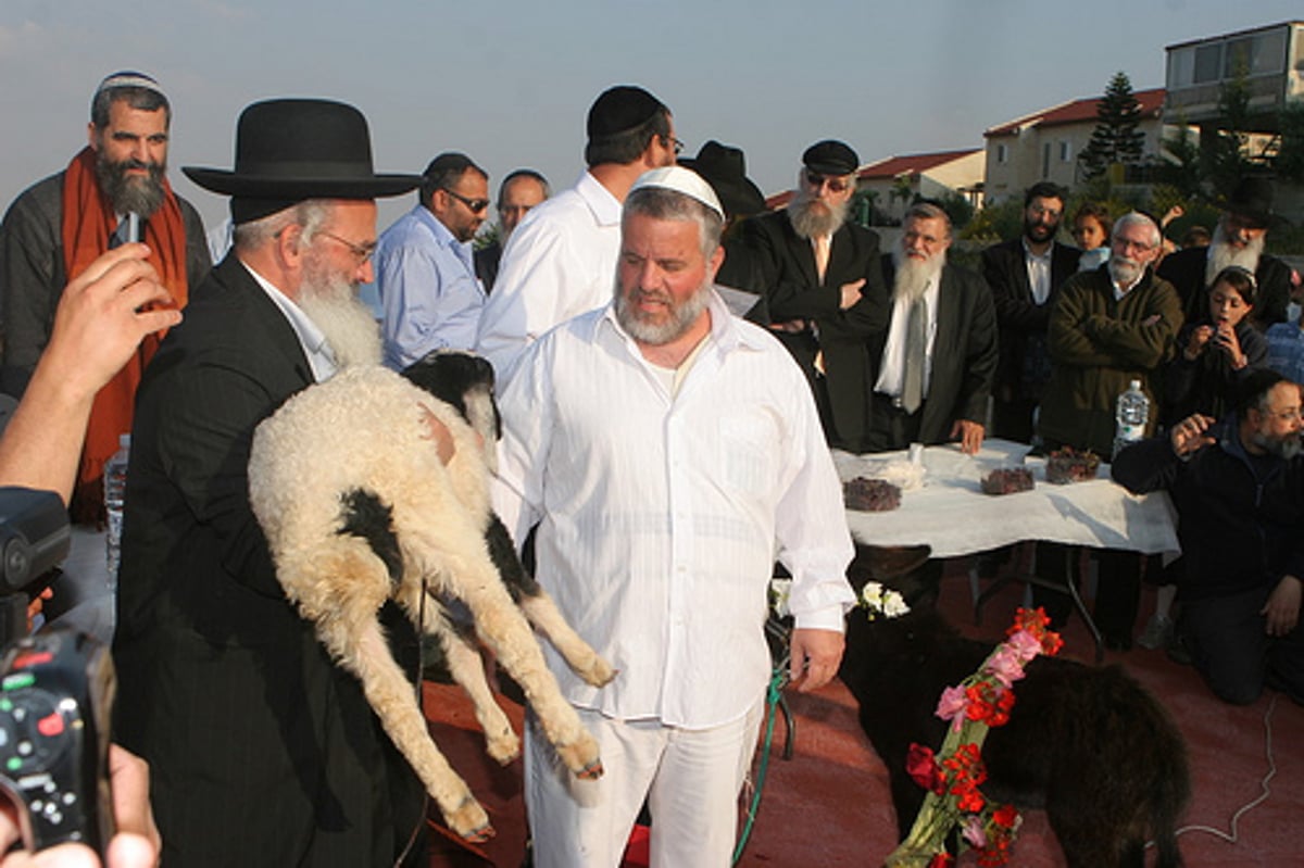 תיעוד: מעמד נדיר של "פידיון פטר חמור"