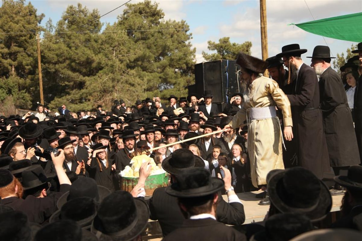 פרויקט: ל"ג בעומר בחצרות האדמו"רים