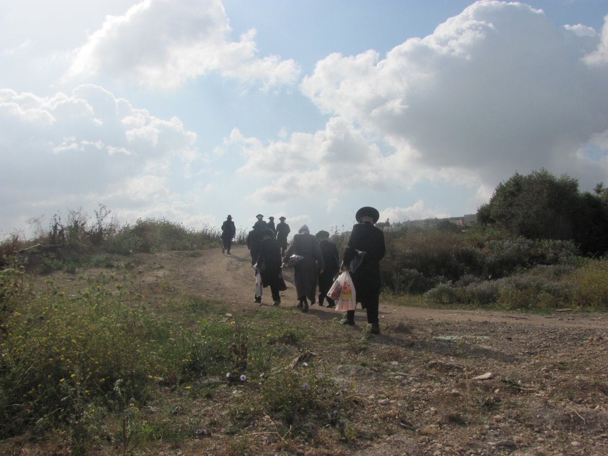 עימות סוער בגליל: חרדים מחו על חילולי קברים; כעת במעצר