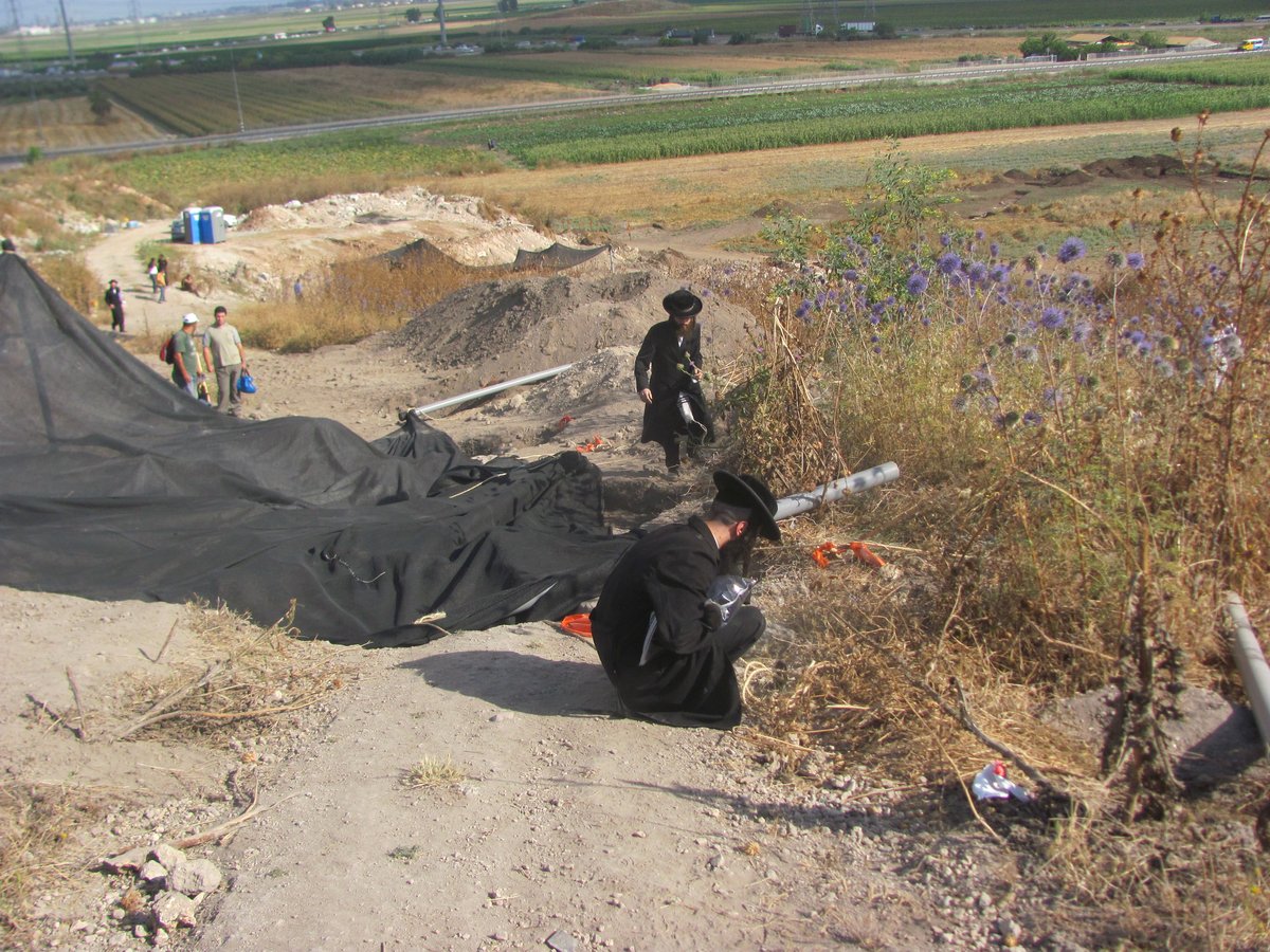 עימות סוער בגליל: חרדים מחו על חילולי קברים; כעת במעצר