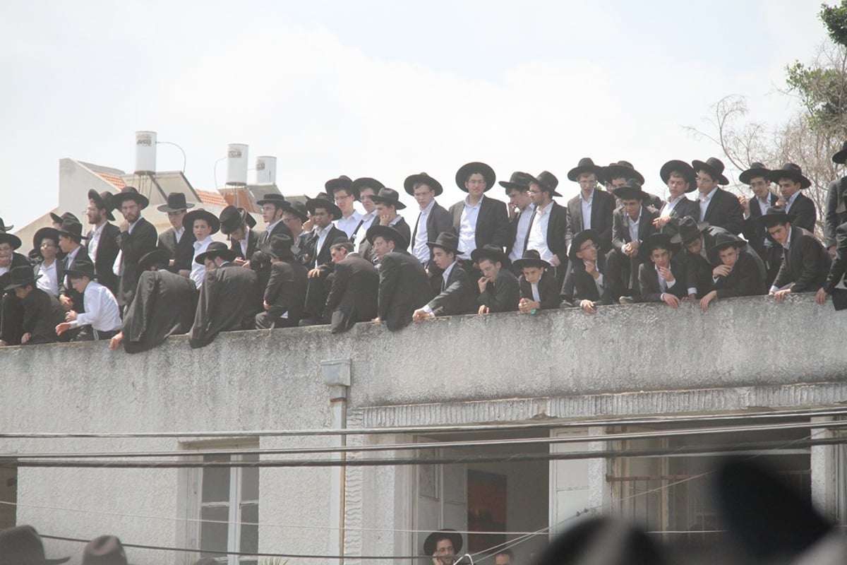 מסע הלוויה: עשרות תמונות, רבבות דמעות