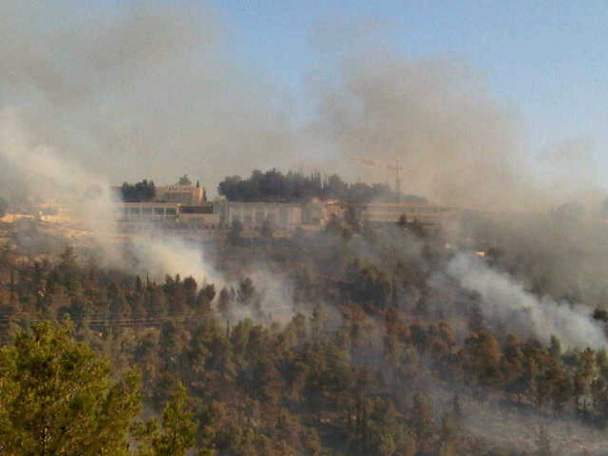 עדות מהשטח: מטוסי הכיבוי קטנים מדי למימדי השריפה