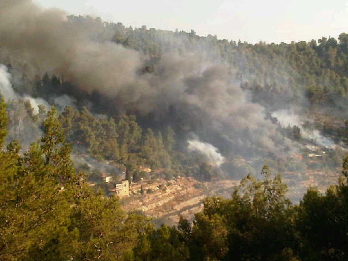 עדות מהשטח: מטוסי הכיבוי קטנים מדי למימדי השריפה