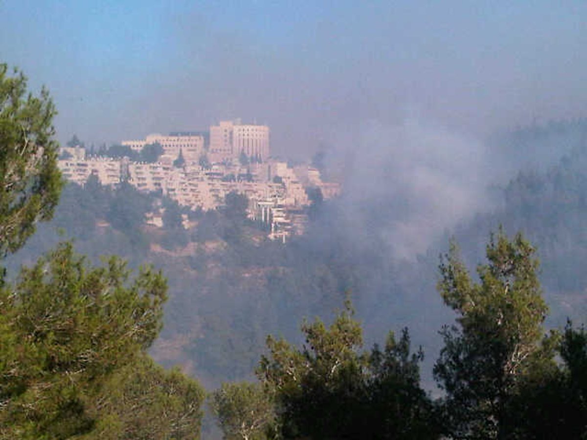 עדות מהשטח: מטוסי הכיבוי קטנים מדי למימדי השריפה