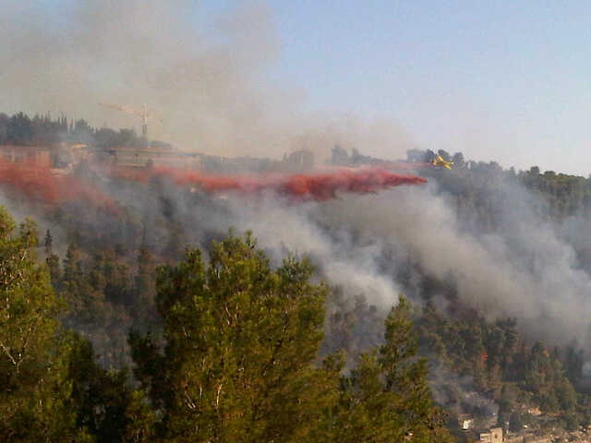 עדות מהשטח: מטוסי הכיבוי קטנים מדי למימדי השריפה