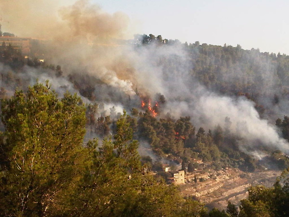 עדות מהשטח: מטוסי הכיבוי קטנים מדי למימדי השריפה