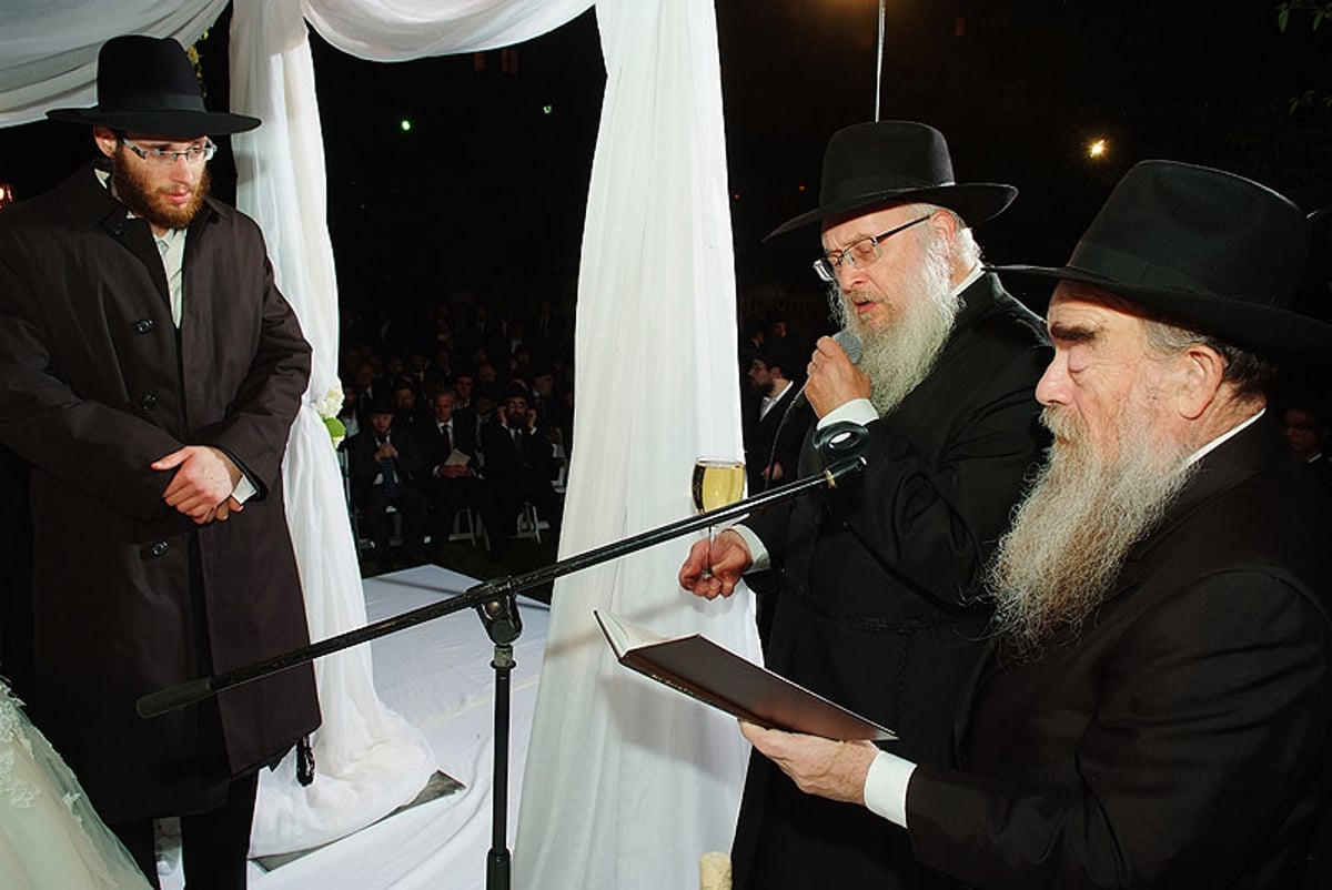 גלריית ענק: הצמרת בוושינגטון בחתונה חב"דית