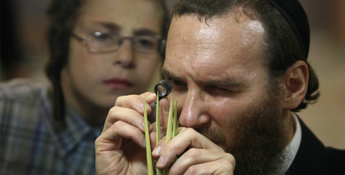 בגלל מצרים: חשש לפגיעה בשוק הלולבים