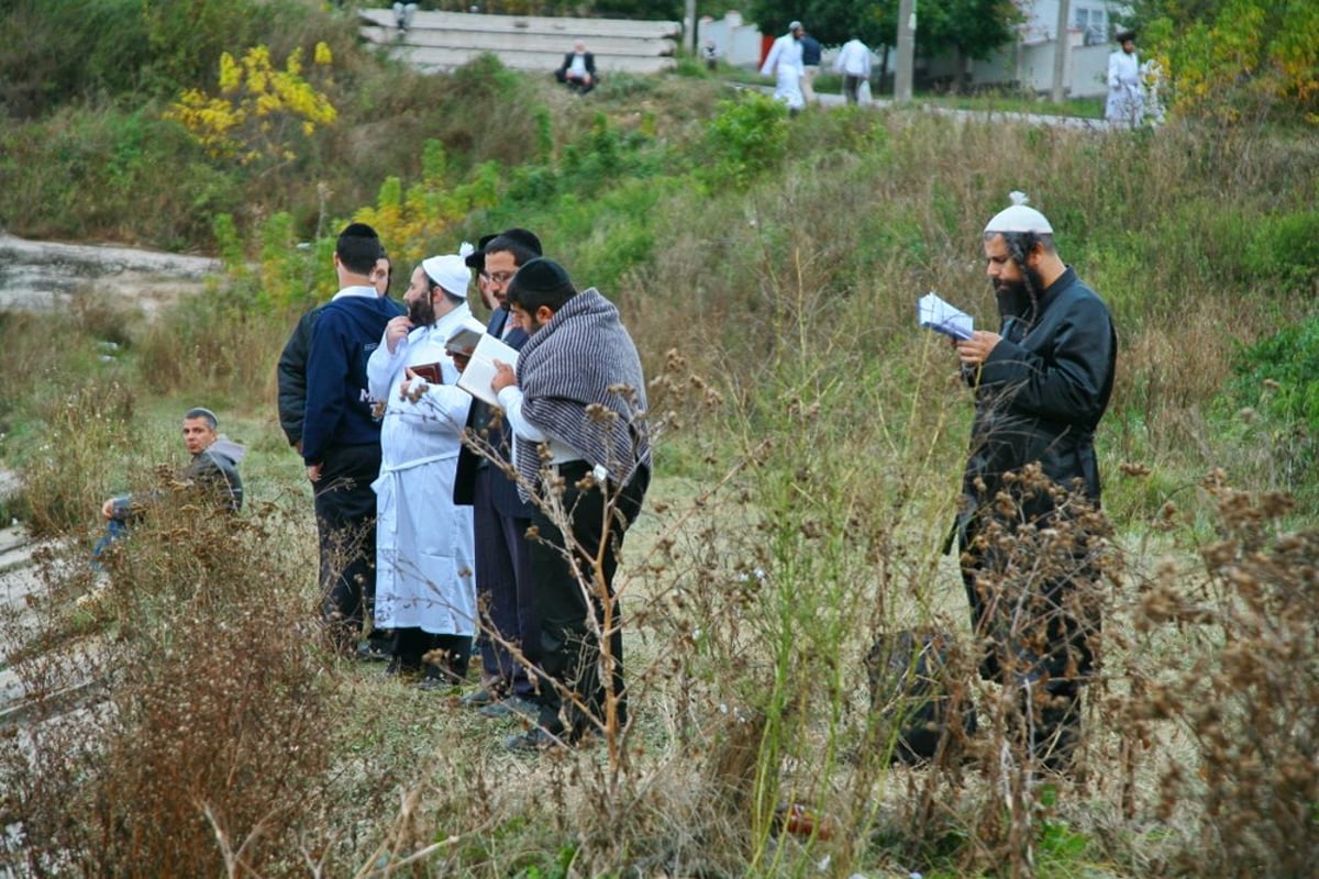 40,000 התפללו אצל רבינו ● עיצומו של ראש השנה באומן