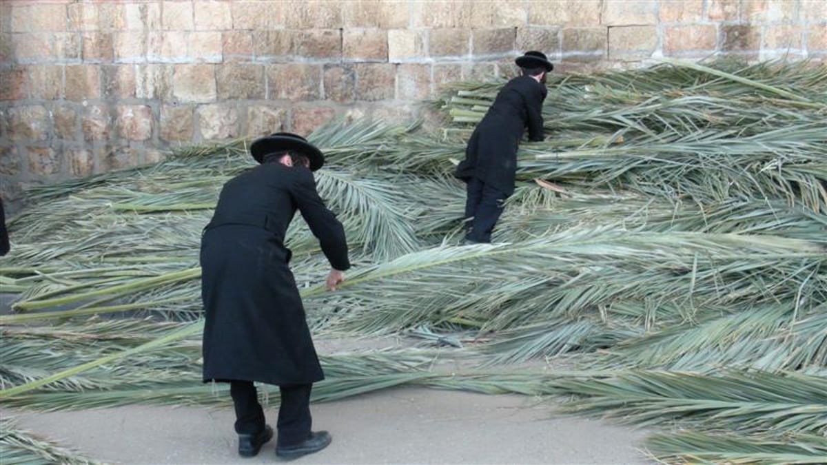 צפו: מה חיפשו קוראנים במאה שערים?