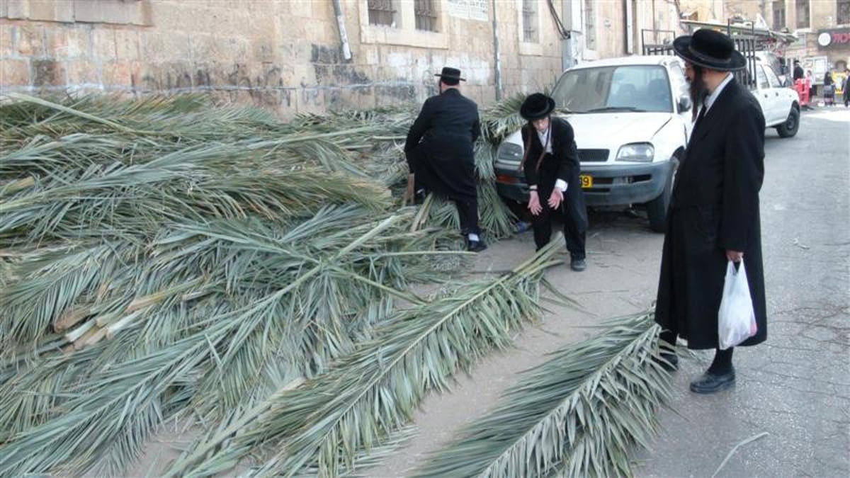 צפו: מה חיפשו קוראנים במאה שערים?